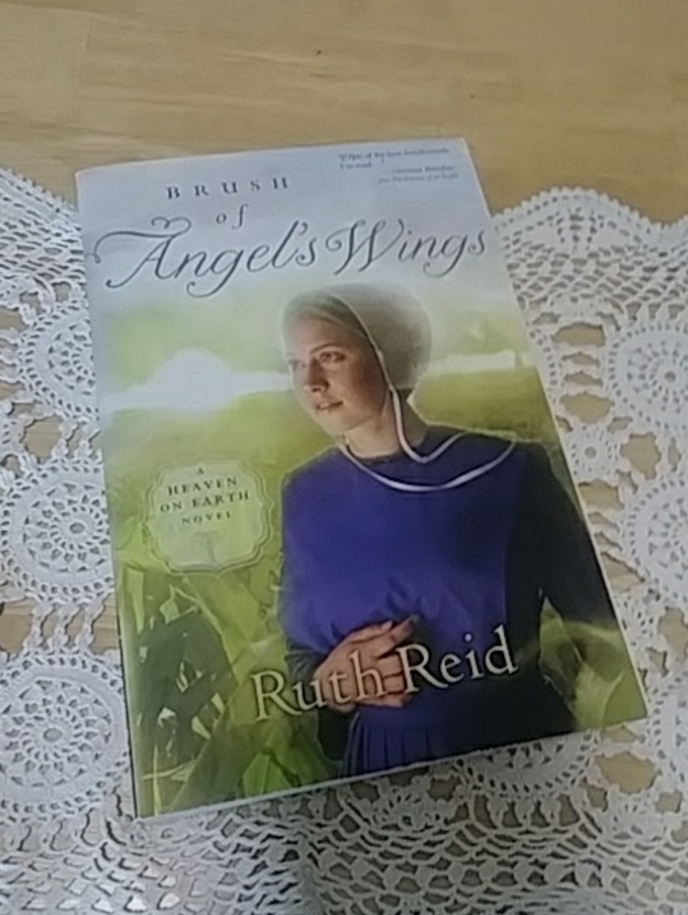 Book Sale! 3 for $10! Amish - Brush of Angel's Wings